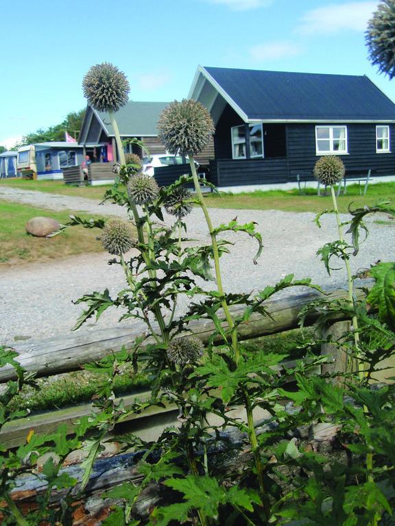 Toftum Bjerge Camping & Cottages Humlum Номер фото
